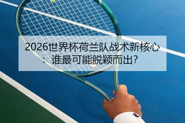 2026世界杯荷兰队战术新核心：谁最可能脱颖而出？